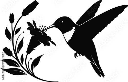 Silhouette hummingbird feeding on garden flower nectar in minimalist natural vector design