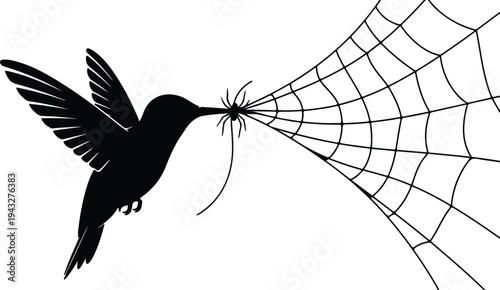 Silhouette hummingbird taking spider silk from a web in nature vector design