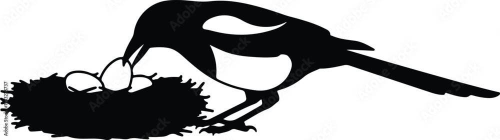 Obraz premium Silhouette magpie bird tending to eggs in a nest isolated vector design