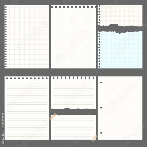 Torn paper notebook sheets collection vector element