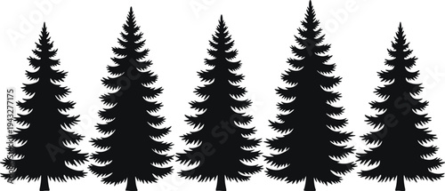 Pine tree silhouettes, evergreen tree icons, conifer forest design, black tree graphics, nature vector illustration, landscape elements, winter tree collection, woodland art
