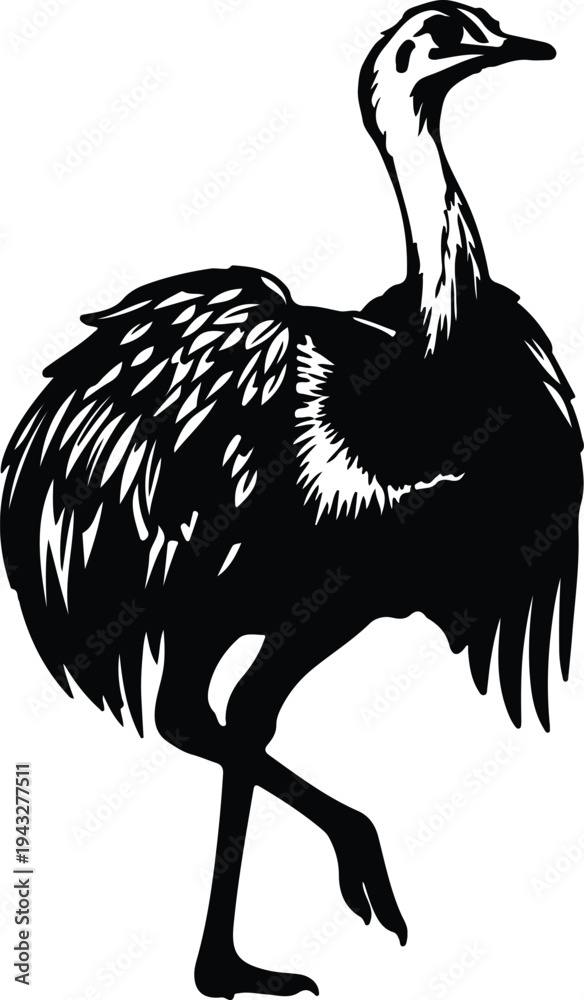 Obraz premium Silhouette of a large ostrich bird standing in profile view vector design