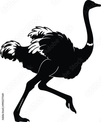 Silhouette of a large ostrich running on white background vector design