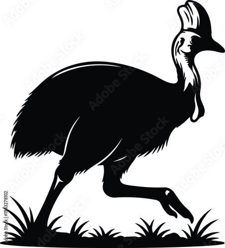 Silhouette of a walking cassowary bird in the wild grass vector design