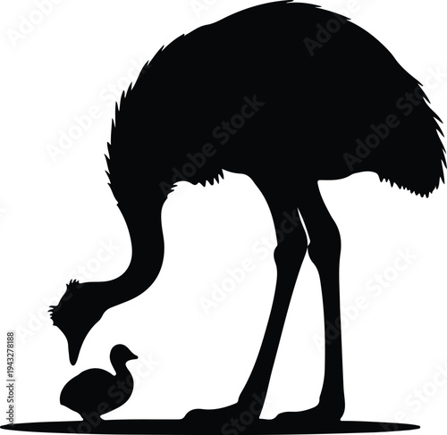 Silhouette of an adult ostrich bird with a small chick vector design