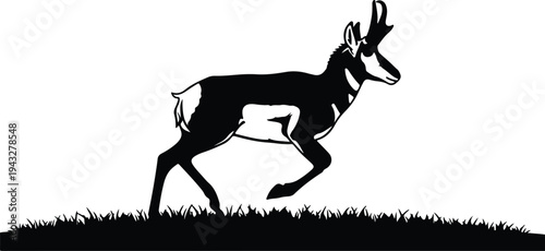 Silhouette pronghorn antelope running across a grassy field landscape vector design