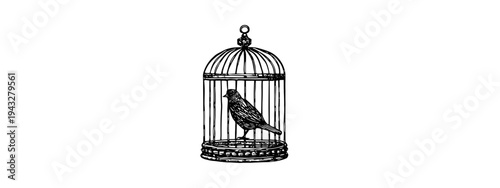 minimalist bird in cage vector illustration isolated on white background