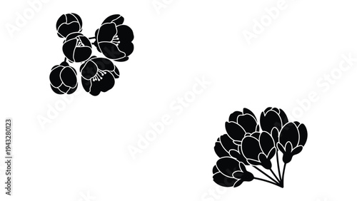 Blooming Beauty in Silhouette: Elegant silhouette of blossoming flowers captured in minimalist style, exuding timeless beauty and gentle aesthetic.