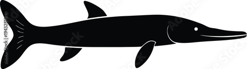 longnose gar silhouette vector art illustration, black and white design