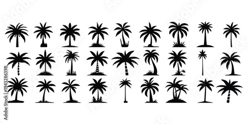 Variety of palm tree silhouettes in different styles and sizes on white background