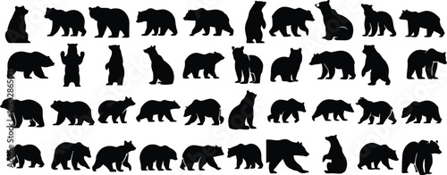 Various bear silhouettes in different poses