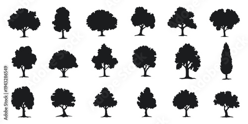 Various deciduous trees silhouettes, diverse shapes and sizes for natural landscape design