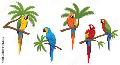 Adobe Illustrator Artwork