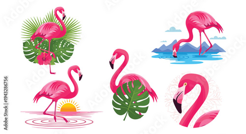 Collection of vibrant pink flamingos in tropical settings with lush foliage and water elements