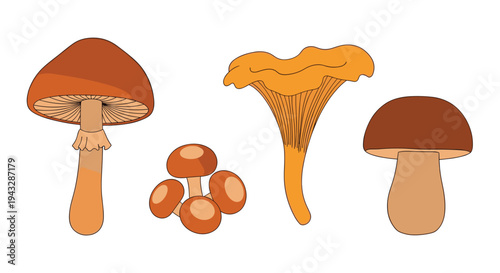 Collection of four distinct cartoon-style mushrooms on a white background