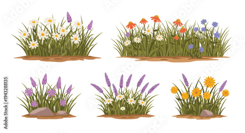Collection of diverse wildflower patches with daisies, echinacea, and lavender
