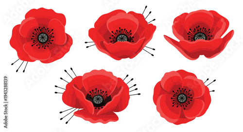 Collection of five vibrant red poppy flowers with black centers and stamens on a white background
