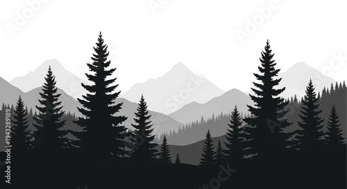 Silhouetted Pine Trees Against Mountains.