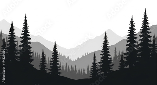 Silhouetted Evergreen Trees Against Mountains.