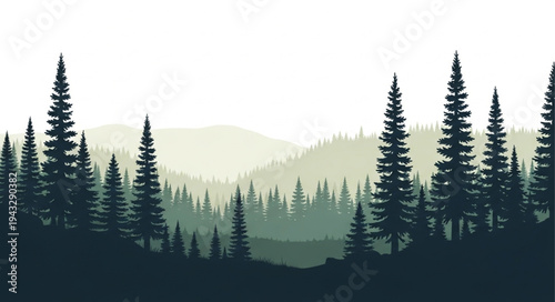 Silhouetted Evergreen Trees in Landscape.