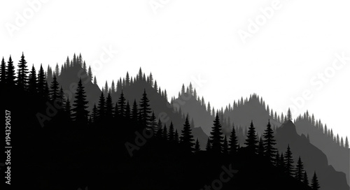 Silhouetted Forest Landscape Against White Sky.