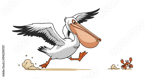 Cartoon pelican running on the beach chasing a small crab with its wings spread wide