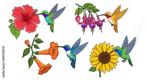 Adobe Illustrator Artwork