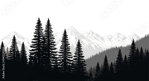 Silhouetted Pine Trees Against Mountains.