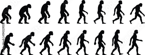 Human evolution silhouettes, primate to modern man, evolutionary stages vector, anthropology design, science concept, posture progression, anatomy outline, history illustration, species transformation
