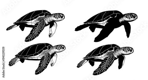 Adobe Illustrator Artwork