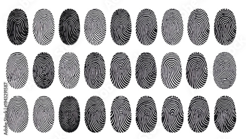 Fingerprint Biometric Identification Vector Set – Thumbprint Patterns Collection