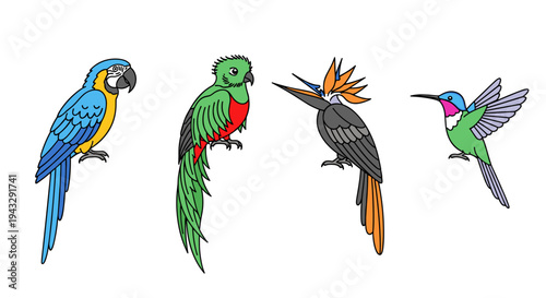 Adobe Illustrator Artwork