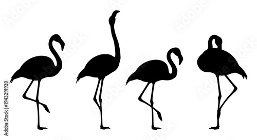 Four black flamingo silhouettes standing on one leg against a white background