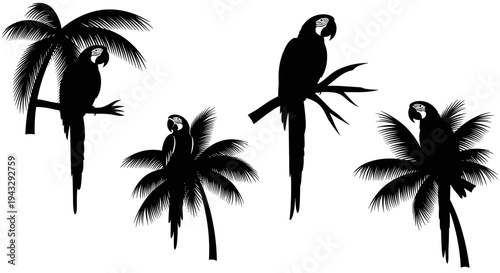Silhouettes of macaws perched on palm trees and branches in a tropical setting