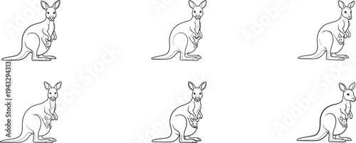 Six kangaroos with joeys in pouches on white background