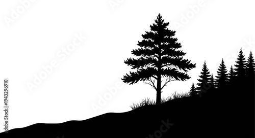 Silhouette of Tree on Hilltop Landscape.