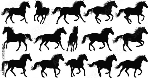 Black, horse, silhouettes, set, galloping, running, stallion, collection, vector, icons, wild, mustang, poses, equine, motion, farm, animal, isolated, white, background