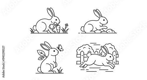 Set of four line art illustrations depicting rabbits in various activities like eating, digging, and running