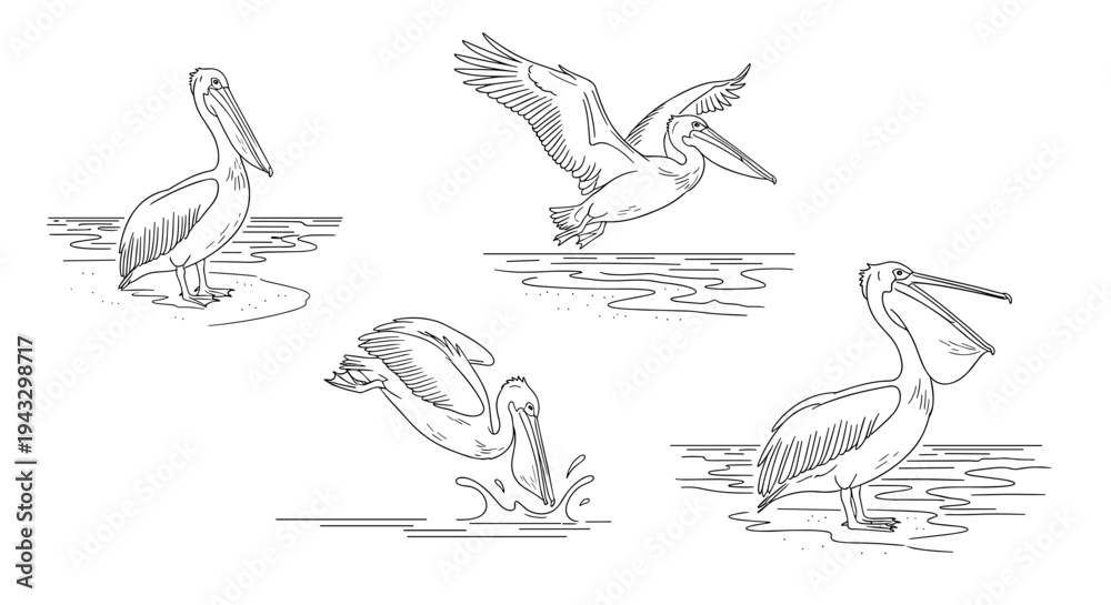 Fototapeta premium Adobe Illustrator Artwork