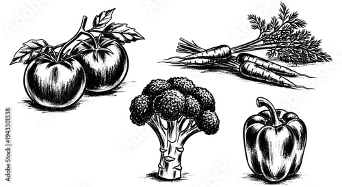 Vintage illustration of fresh vegetables including tomatoes, carrots, broccoli, and bell pepper
