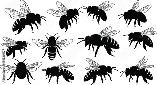 Honey bee silhouette set with flying bumblebee icons, black insect vector collection isolated on white background, cad drawing flat vector illustration