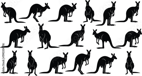Kangaroo silhouette collection with various poses and jumping movements, black Australian animal vector icons isolated on white background for travel design