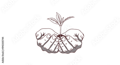 A delicate line drawing of two hands cradling a small plant with leaves growing out of the soil in a nurturing gesture
