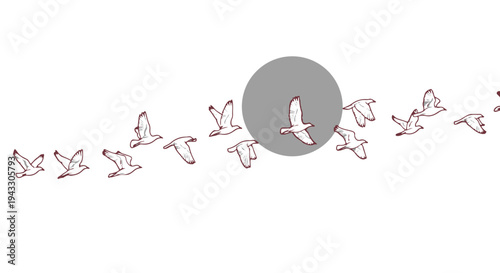 A flock of white birds flying in a line around a gray circle
