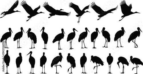 Stork and crane silhouette set, flying and standing bird vector collection, cad drawing flat vector illustration, wading water bird icons