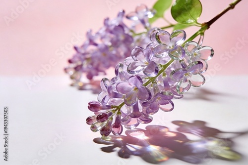Lilac flowers on a surface with a soft background during daylight