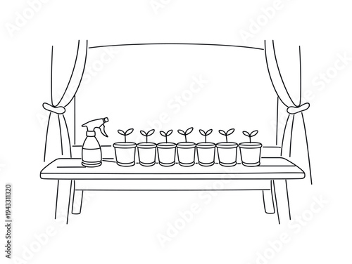 Wooden bench by a sunny window holding a row of newly potted seedlings in identical containers, spray bottle set beside them and