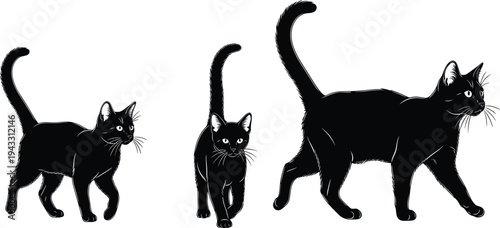 Vector Silhouette Set of Black Cats, Walking Domestic Kitten Graphics, Pet Animal Woodcut Style Illustration, Feline Nature Design, Halloween Theme