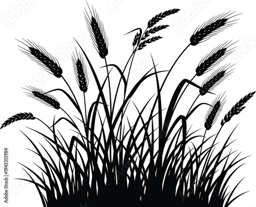 Wheat Stalks Silhouette, Ears of Grain and Wild Grass Meadow, Agricultural Cereal Plant Vector, Organic Farm Harvest Design Element on White