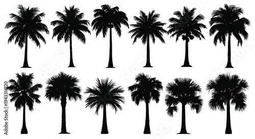 Silhouette collection of various palm trees against a white background